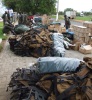Managing Executive Kruger Park