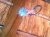 Lapa plug