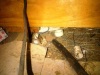 Wiring for the one light bulb in the roof