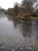 St James park pond (Yes! It's frozen. That's how cold it was) London 2010