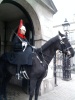 A London Horse Guard, London 2010