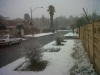 Johannesburg Snow