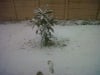 Johannesburg Snow