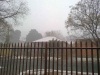 JHB snow