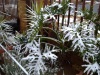 Freezing Jozi!