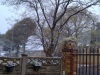 Snow in JHB