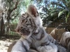 Cute now, but wait till im bigger!