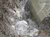 disgusting. the raw sewage pumped straight into the dam
