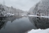 Lake in winter