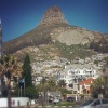Leeukop