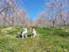 Max and Roxy