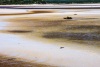Stanford Lagoon near Klein Rivier Estuary in Stanford, Western Cape