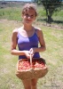A young girl holds a basket of freshly picked cherries near Ficksburg, Free State.