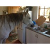 No description [Sent via News24 iPhone app]