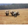 No description [Sent via News24 iPhone app]