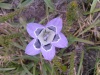 The Beautiful Face of Nature
