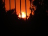 About 25m from the back fence