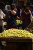 Fresh Fruit