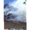 Picture taken in Voelklip, Hermanus. 