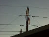 A photo of an eskom power cable that broke near my house in Boksburg this morning