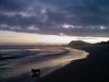 Dogs also love the sea