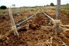 Measurements already laid down for the allocation of the plots to farmers once the event kicks off (Fridah Mutune, News24 user)