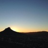 Leeukop (Terina le Roux, Nuus24-gebruiker)