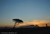 Table Mountain seen at sunset from the N2.