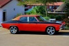 Excellent Chevvy Specimen
