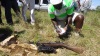 A police officer takes details of a gun that was found opposite the retirement home of former President Mwai Kibaki at Mweiga, Nyeri county on Sunday. (Joseph Mukubwa, News24 user).