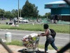 the lady stole goods from zio