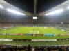 Moses Mabhida