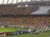 a sea of yellow
