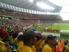 sea of yellow