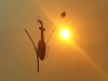 Huey bombing fire in Wemmershoek - Photo by Matthew Moxon