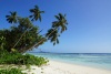 Paradise