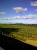 Beautiful day in Cape Town,