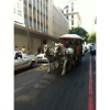 Down a side street in St George's mall - confronted by a tour bus of a different sort.