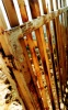Northcliff Hill - Rusted Gate