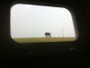 the window.