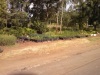 (Maureene Danielle, News24 )