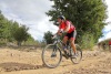 Downhill through Hillcrest Berry Orchards in Stellenbosch. Photo by Thomas F