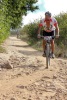 Downhill through Hillcrest Berry Orchards in Stellenbosch. Photo by Thomas F