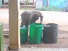 When hunger strikes, not even the flies would stop you from fighting it. A young man looking for food remains in dustbins.