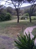 This beautiful scenery can be found at the Sekenani Camp, in Maasai Mara. (Maureene Danielle, News24)