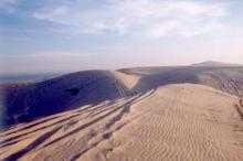 <B>Following in previous tracks makes sand driving easier; it's also easier on the environment! </b>
