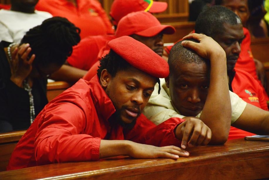 EFF leader Julius Malema and former party spokesperson Mbuyiseni Ndlozi. Picture: Morapedi Mashashe
