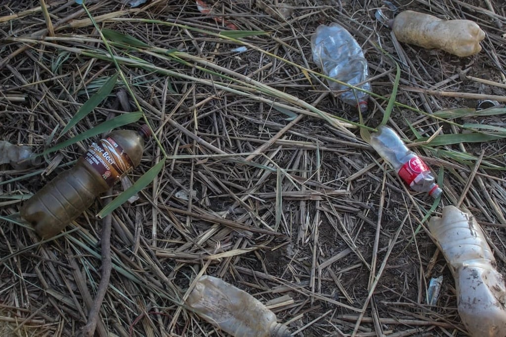 PET plastic bottle near the Potchefstroom Dam. It 