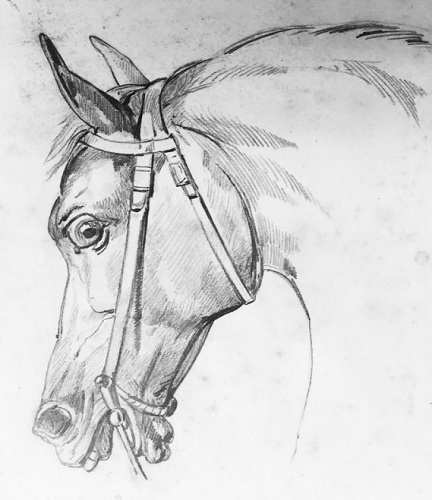 A horse by Betsy Ronalds.