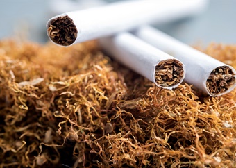Tobacco ban under court scrutiny this week